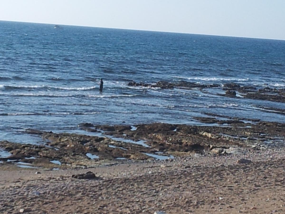 דירות דירת חוף בחיפה מראה חיצוני תמונה
